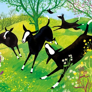 Zwartbles in Spring Series 1 - Frolics with lambs