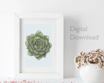 Op de afbeelding: Een digitale download van een aquarel schilderij van een groene succulent met roze randen op een lichtblauwe achtergrond.