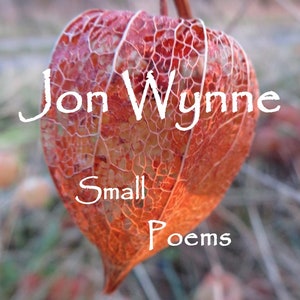 Puede incluir: Primer plano de una cáscara seca, de color naranja rojizo, de textura de papel, con una textura delicada y de encaje. El texto "Jon Wynne Small Poems" está superpuesto a la cáscara.