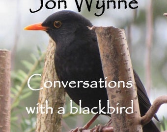 Conversations with a blackbird