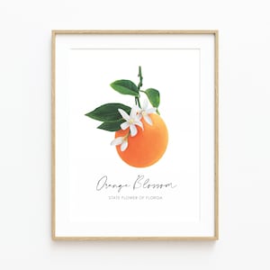 Flor de naranja de Florida, pintura de flor estatal, impresión de bellas artes, decoración de pared