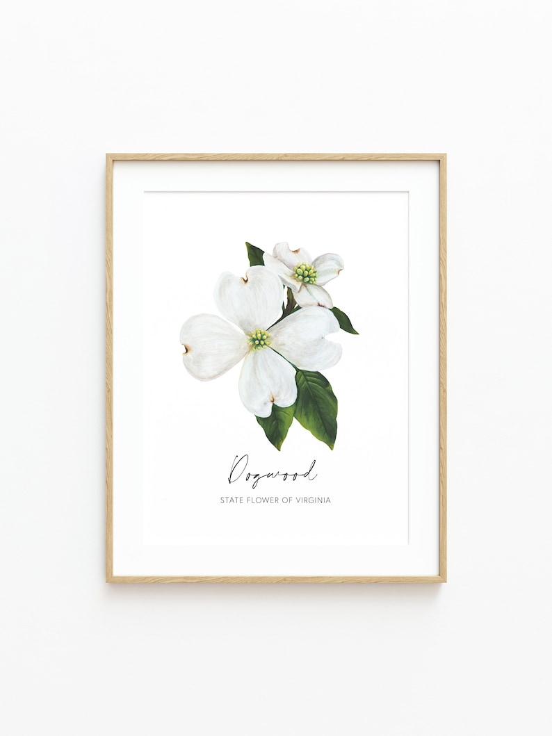 May include: A framed print of a white dogwood flower with green leaves. The print has the text "Dogwood" and "State Flower of Virginia" below the image.