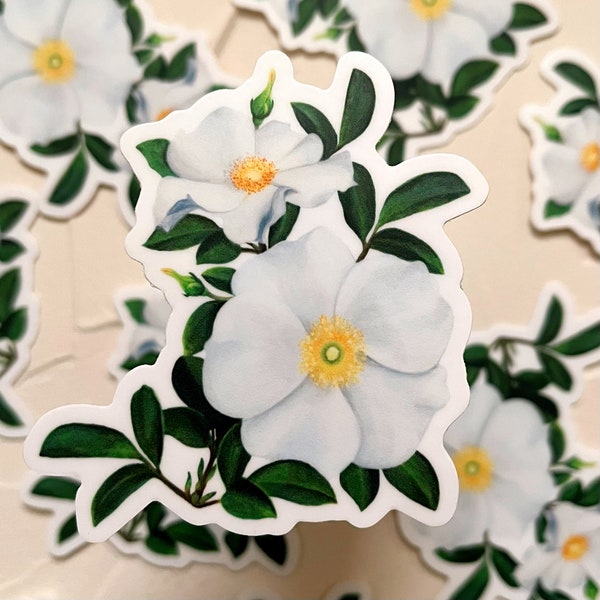 Georgia State Flower Die-cut Vinyl Sticker, Cherokee Rose Sticker, Georgia Sticker, Floral Sticker, Small Sticker, Pretty Sticker