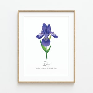Tennessee State Flower Fine Art Print, Iris Fine Art Print, Iris Painting, Tennessee Wall Art, Housewarming Gift, Tennessee Souvenir