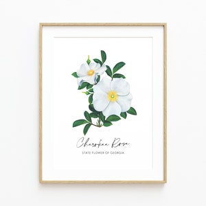Georgia State Flower Fine Art Print, Cherokee Rose Fine Art Print, Cherokee Rose Painting, Housewarming Gift, Christmas Gift, Floral