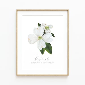 North Carolina State Flower Fine Art Print, Dogwood Flower Wall Art, Dogwood Painting, Christmas Gift, Housewarming Gift, NC Artwork