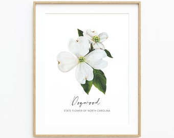 North Carolina Dogwood, State Flower Painting, Fine Art Print, Wall Decor