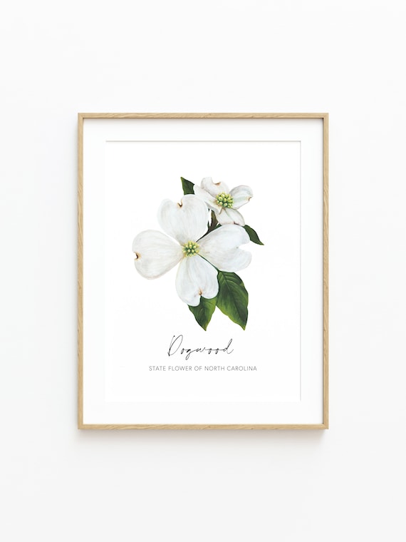 North Carolina Dogwood, State Flower Painting, Fine Art Print, Wall Decor