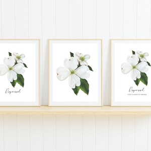 May include: Three framed prints of white dogwood flowers with green leaves. The centre print has the text "Dogwood State Flower of Virginia".