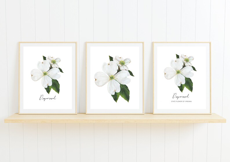 May include: Three framed prints of white dogwood flowers with green leaves. The centre print has the text "Dogwood State Flower of Virginia".