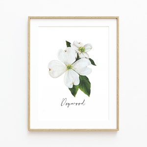 May include: A framed print of a white dogwood flower with green leaves. The print has the word "Dogwood" written in cursive below the flower.