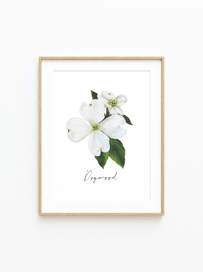May include: A framed print of a white dogwood flower with green leaves. The print has the word "Dogwood" written in cursive below the flower.