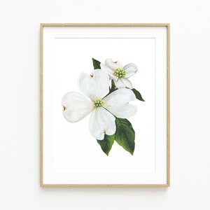Puede incluir: Una pintura de acuarela enmarcada de una flor de cornejo blanco con hojas verdes. La flor est&aacute; en flor y tiene una apariencia delicada y femenina.