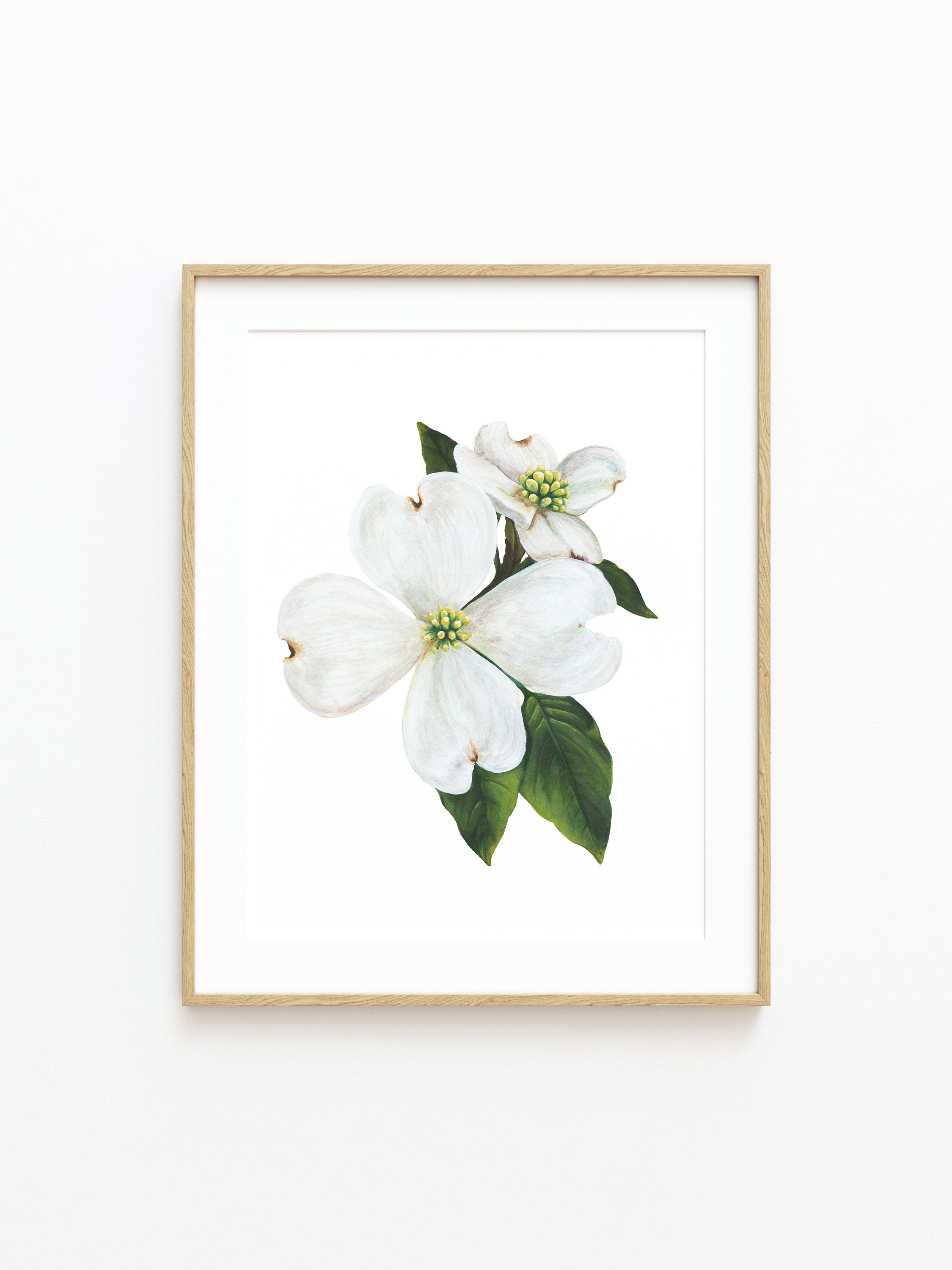 North Carolina State Flower Fine Art Print, Dogwood Flower Wall Art