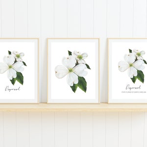 Puede incluir: Tres impresiones enmarcadas de flores blancas de cornejo con hojas verdes. La impresi&oacute;n central tiene el texto "Dogwood" y "Flor del estado de Carolina del Norte".
