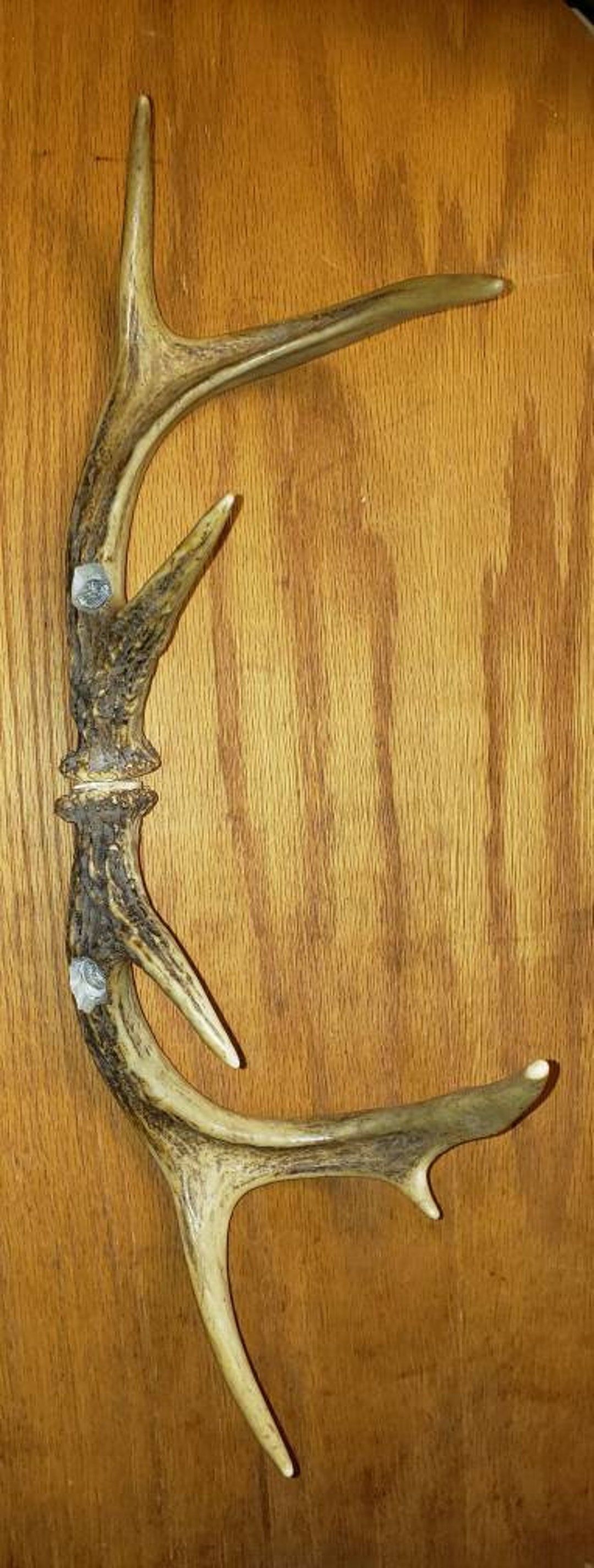 Deer Antler Matching Set Pipes Etsy