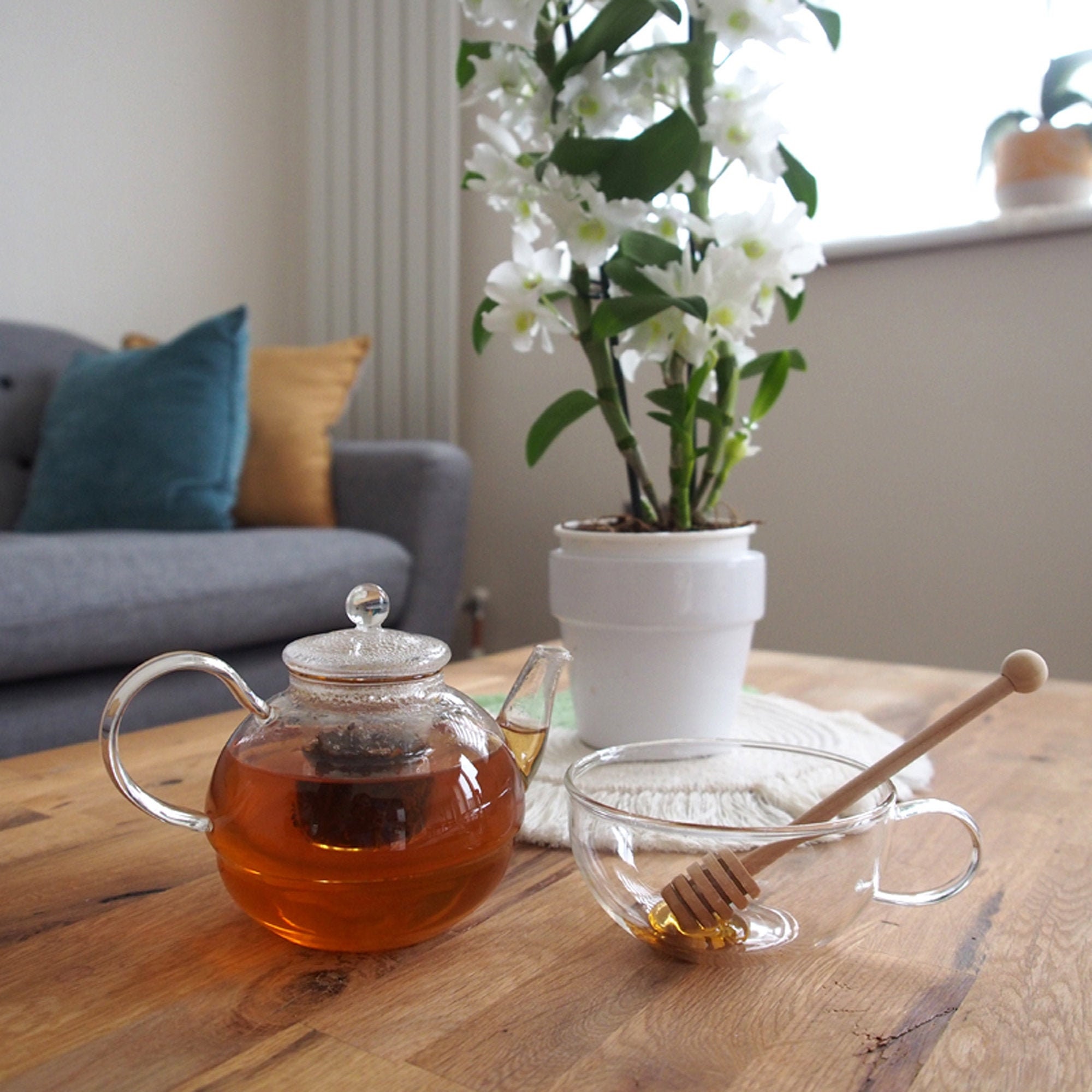 One Cup Teapot Set With Infuser and Cup for Loose Leaf Teas Etsy UK
