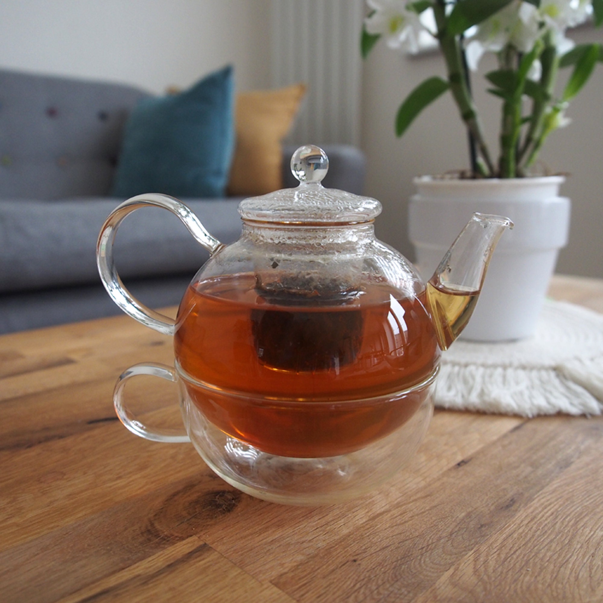 One Cup Teapot Set With Infuser and Cup for Loose Leaf Teas Etsy UK