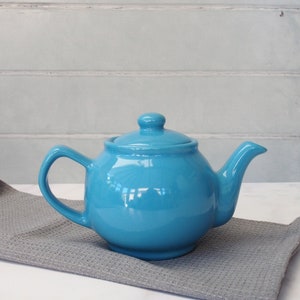 450ml One Cup Blue Ceramic Teapot For Loose Leaf Teas And Teabags Tea Gifts Birthday Gifts Christmas Gifts