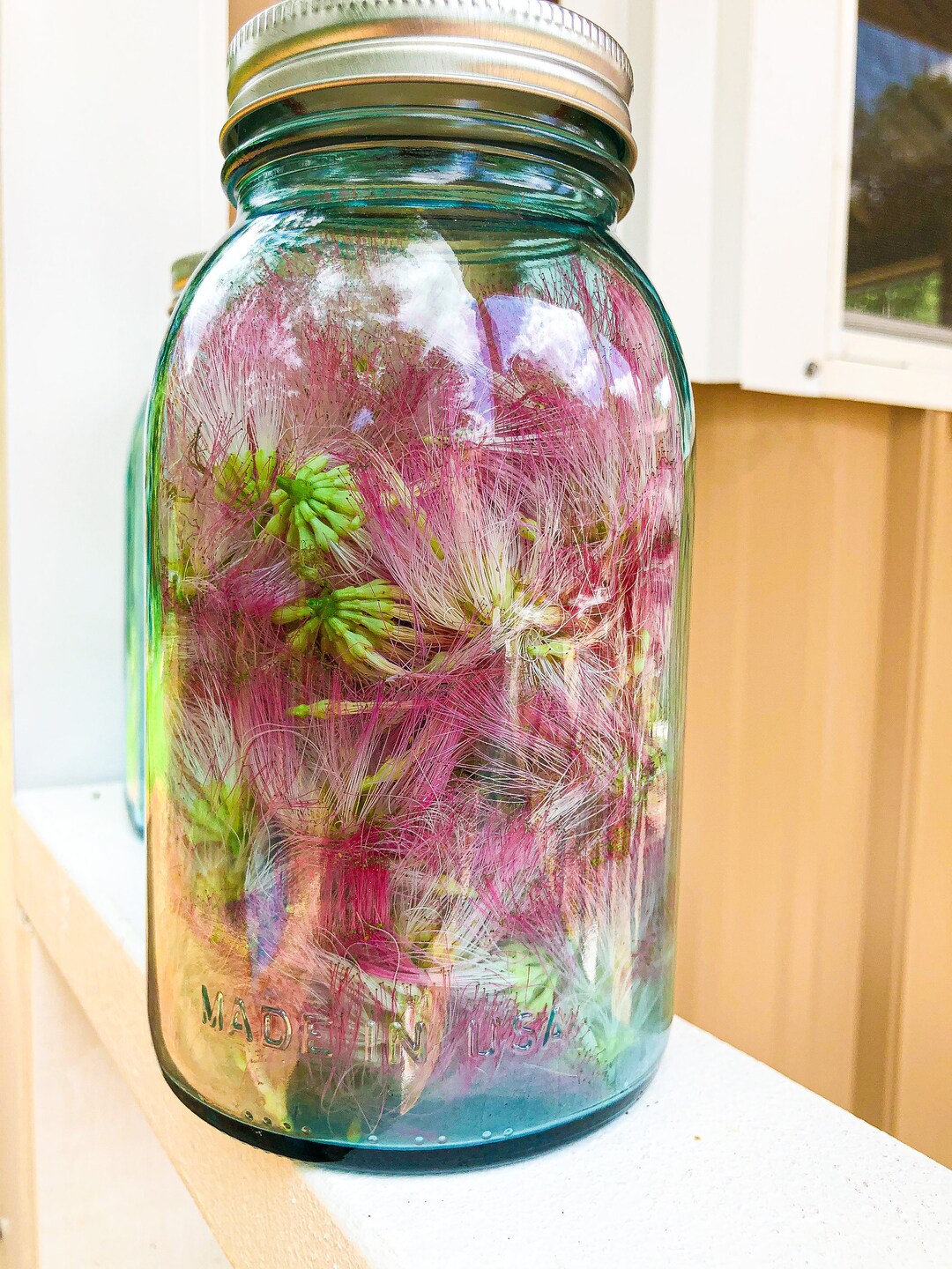 mimosa-flower-tincture-etsy