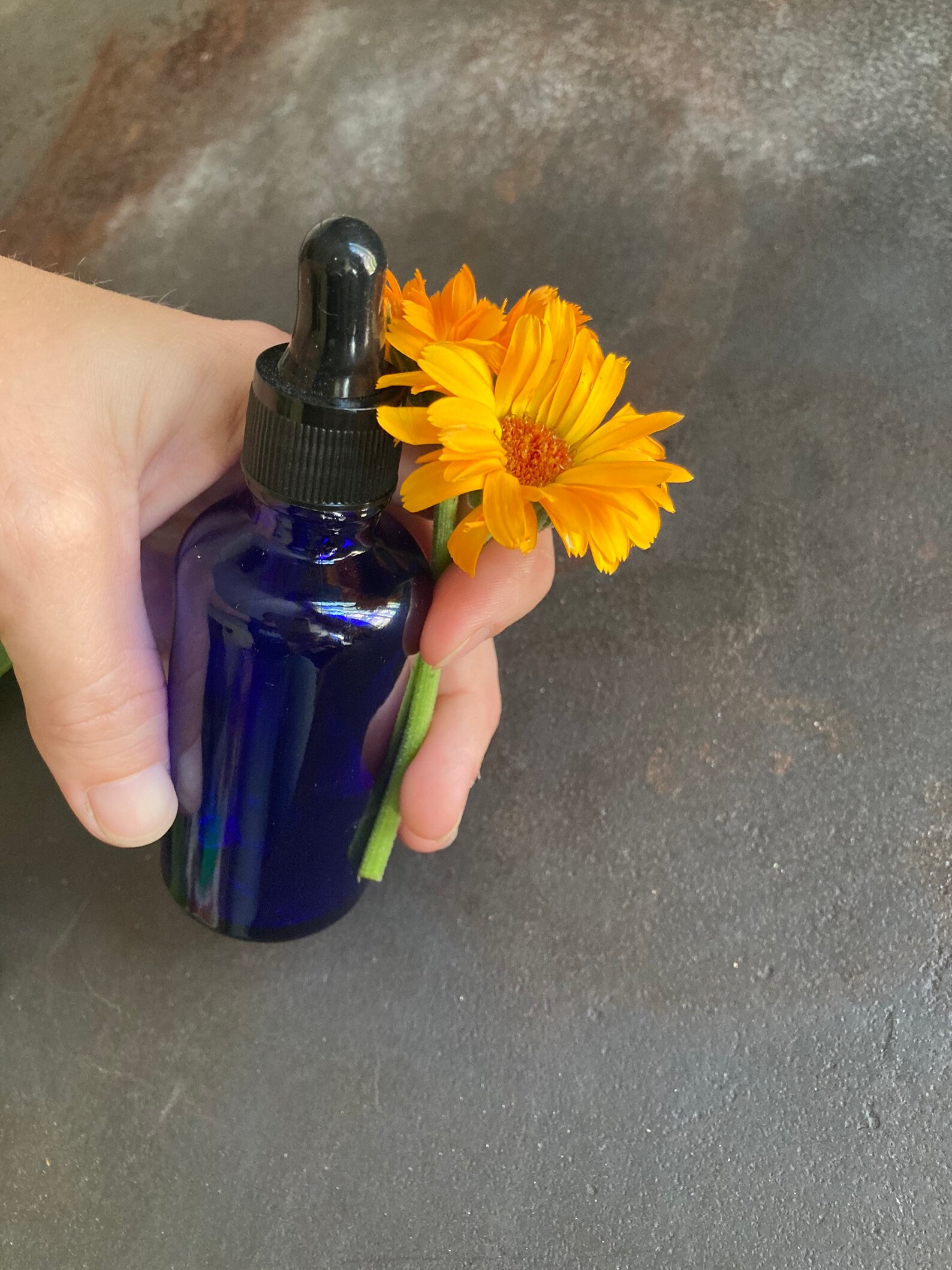 Calendula Tincture Etsy