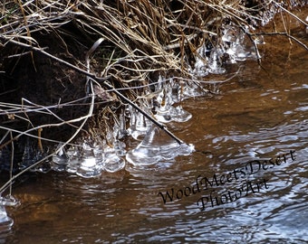 Nature Matted Print Etsy