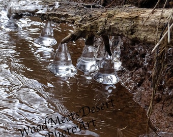 Nature Matted Print Etsy