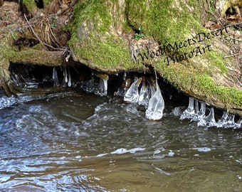 Nature Matted Print Etsy