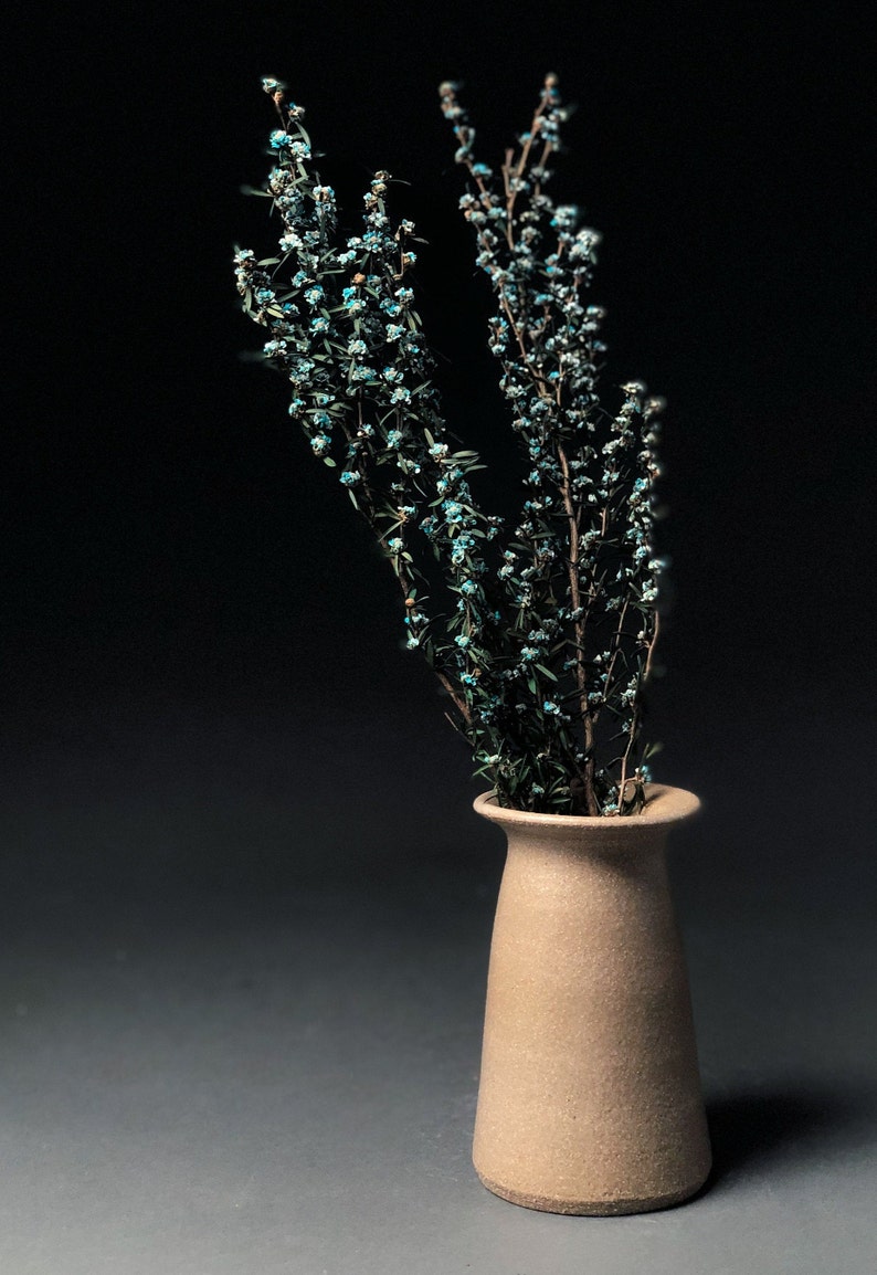 Op de afbeelding: Een beige keramische vaas bevat verschillende takken gedroogde bloemen met kleine, lichtblauwe bloesems. De vaas heeft een textuur en een uitlopende rand. De achtergrond is donkergrijs.