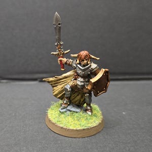 Classic male Paladin/fighter