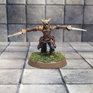 Female Tabaxi fighter