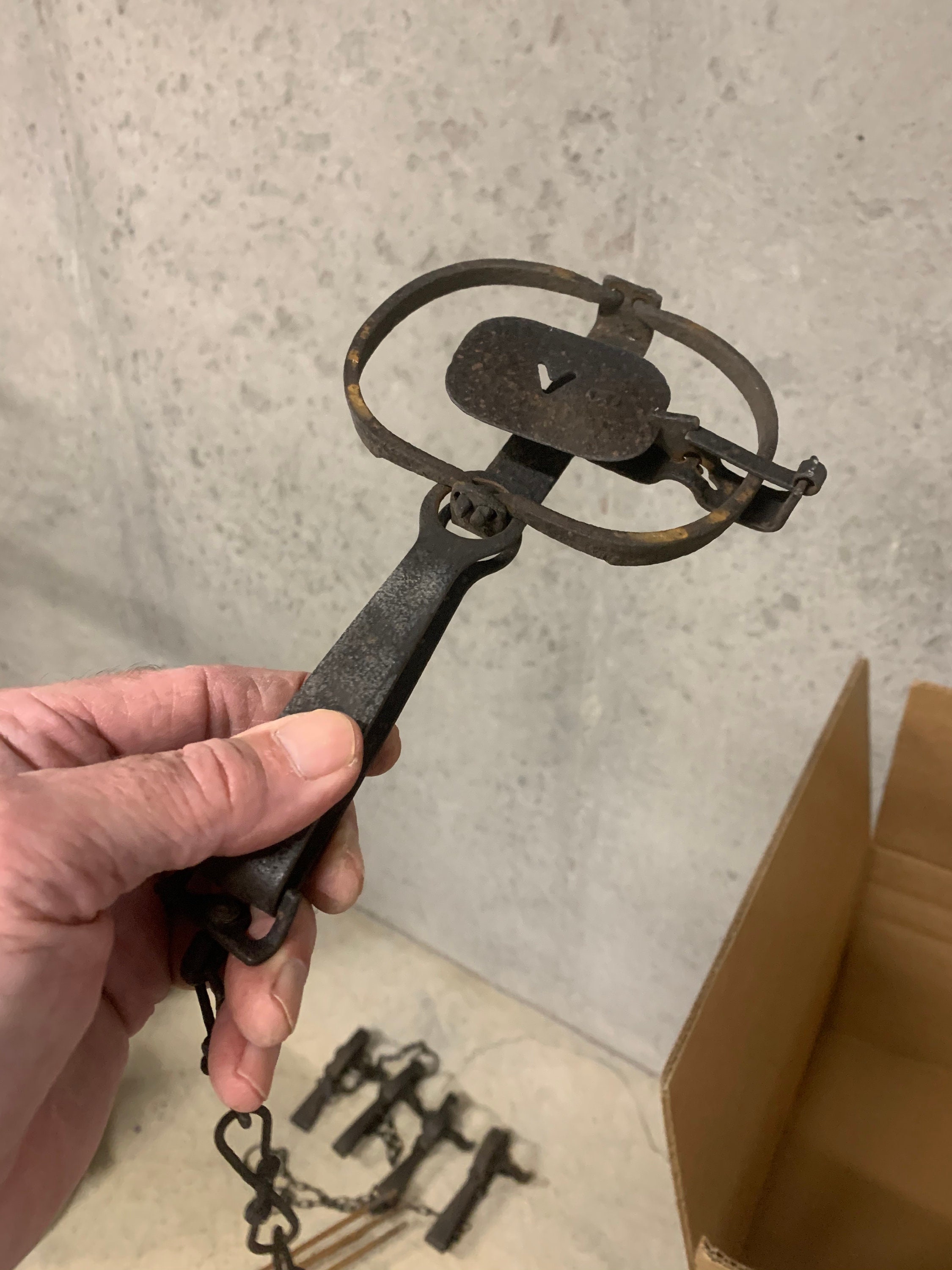 Leg Hold Traps for sale Only 4 left at 60