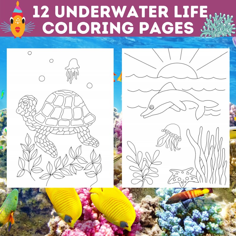 12 Beautiful Underwater Sea Coloring Pages Marine Life Etsy