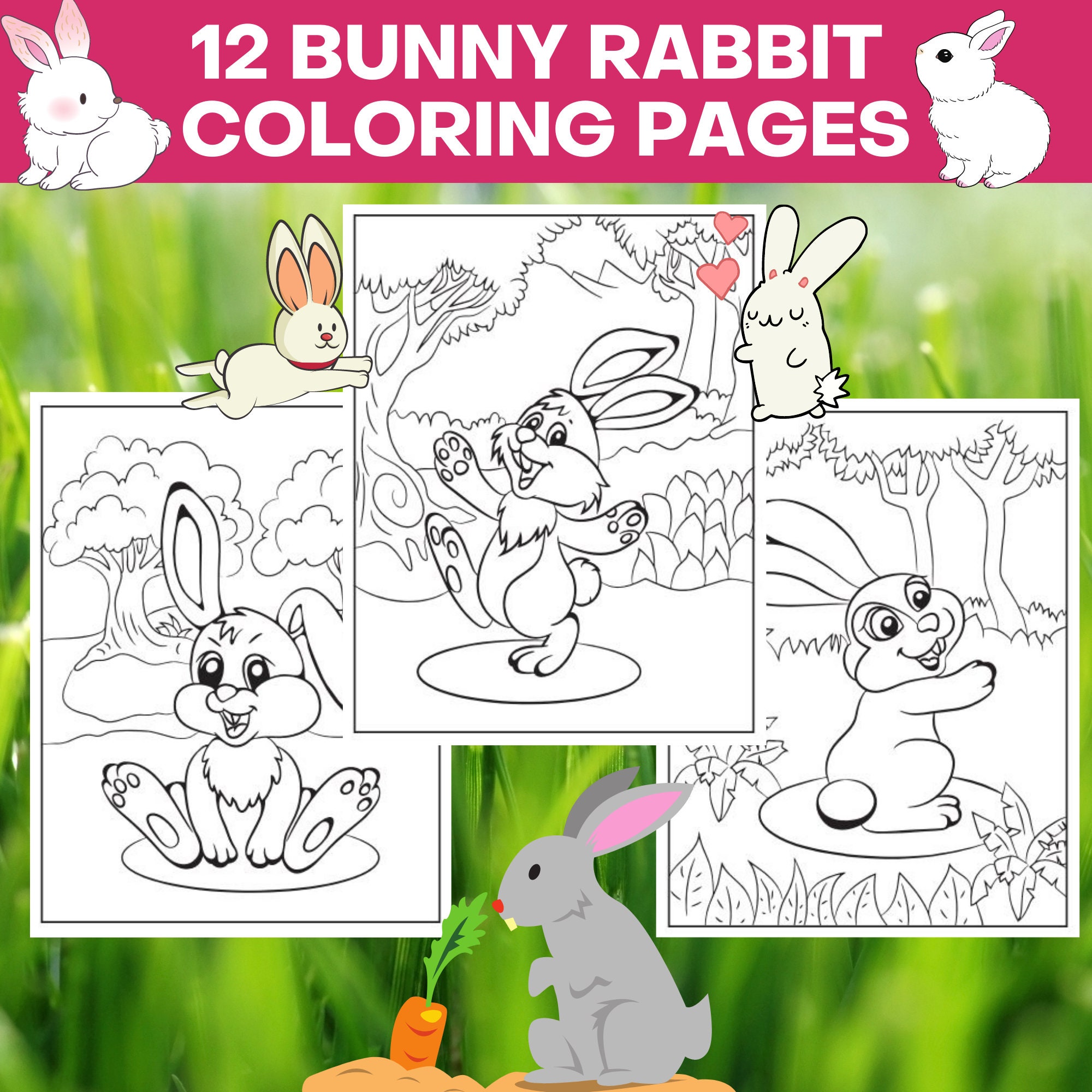 Bunny Rabbit Coloring Pages
