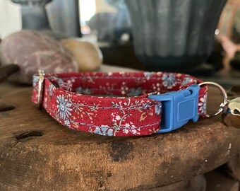 kitty convict collar