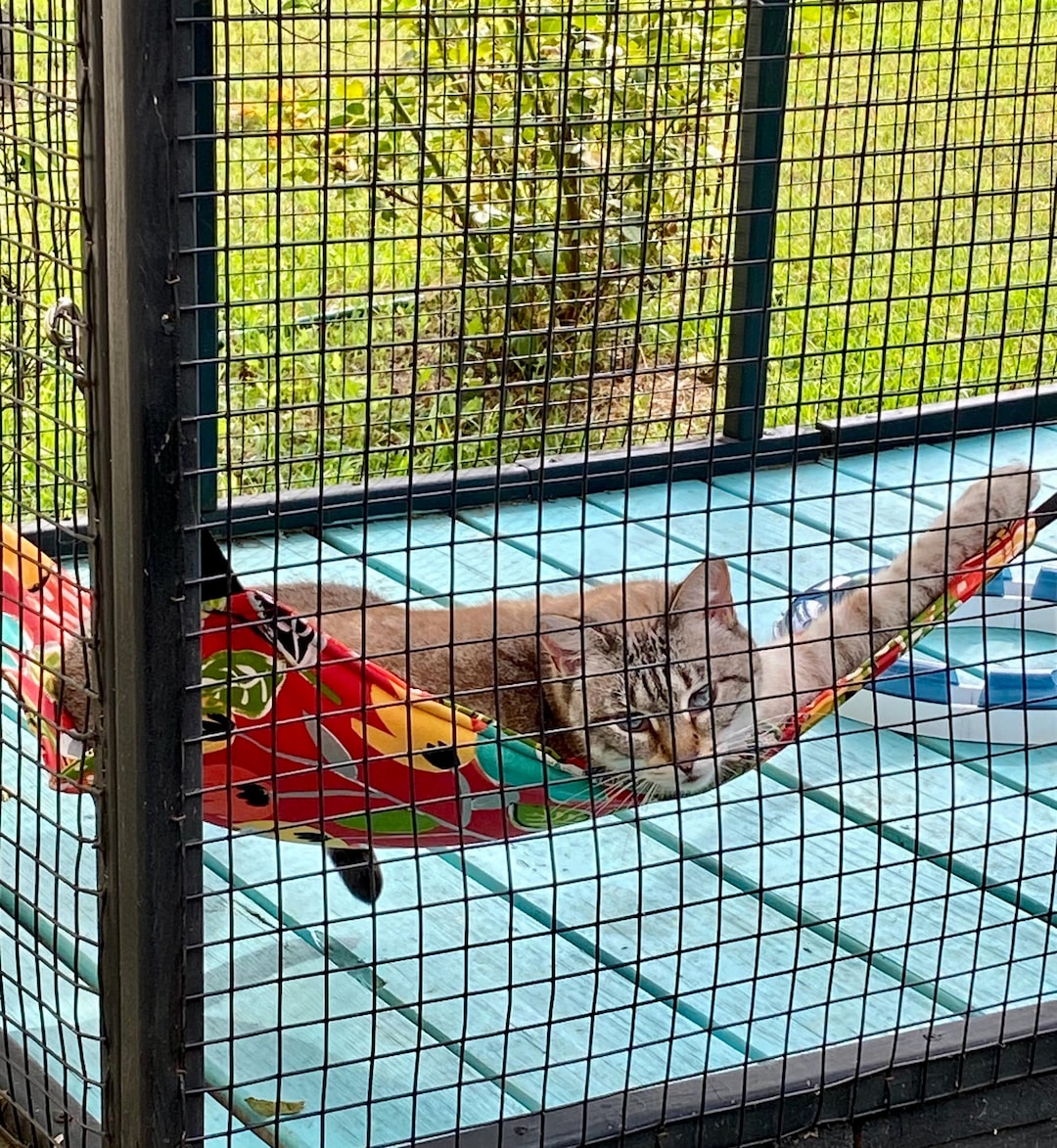 Cat Tower Cat Tent In Outdoor Cat House, With Cat Tunnel, Cat