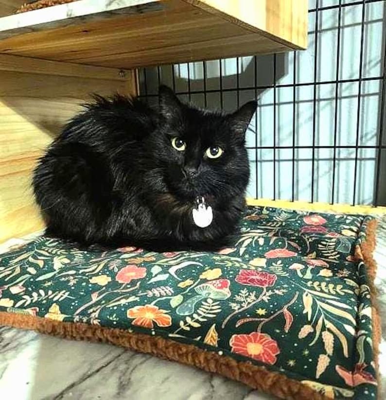Pu&ograve; includere: Un gatto nero dal pelo folto con occhi gialli e una medaglietta argentata sul collare, che riposa su un lettino rettangolare. Il lettino presenta una superficie in tessuto verde scuro con un motivo di fiori, funghi e foglie e una base marrone.
