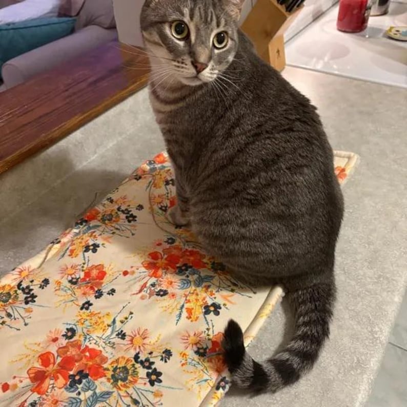 Pu&ograve; includere: Un gatto soriano grigio con strisce scure e occhi gialli &egrave; seduto su un tappetino in tessuto rettangolare con sfondo color crema e un vivace motivo floreale di fiori arancioni, rossi e blu con foglie verdi e sottili steli marroni.