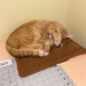 Pu&ograve; includere: Un gatto tigrato arancione raggomitolato su un lettino rettangolare in pile marrone. Il gatto dorme con una zampa che copre il muso. Un righello in plastica trasparente con segni metrici mostra una larghezza di circa 35,5 centimetri.