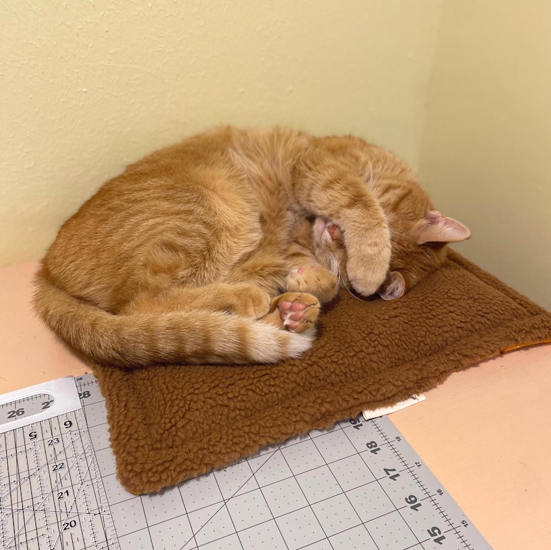 Pu&ograve; includere: Un gatto tigrato arancione raggomitolato su un lettino rettangolare in pile marrone. Il gatto dorme con una zampa che copre il muso. Un righello in plastica trasparente con segni metrici mostra una larghezza di circa 35,5 centimetri.