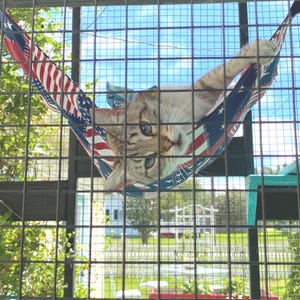 May include: A cat resting in a fabric hammock featuring a red, white, and blue American flag pattern with stars and stripes. The hammock is suspended within a dark metal wire enclosure, with the cat's head and one paw visible inside the fabric.