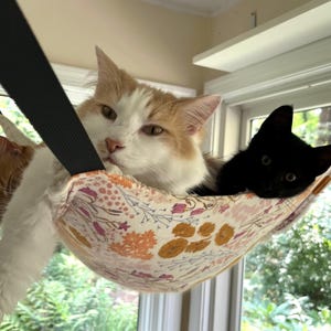 May include: A fabric cat hammock suspended by black straps, featuring a cream-colored base with a floral pattern in shades of orange, pink, and green. Three cats are resting inside: one orange and white, one white and ginger, and one solid black.