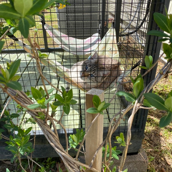 Cat Hammock Etsy