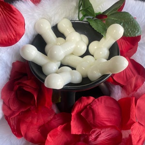 Dicks|Wax Melts|Dick Wax Melts|Penis Wax Melts|Nookie Wax Melts|Party Favor|Bridal Shower|Adult|Wax Melts|Bachellete Party|Fun|Adult fav