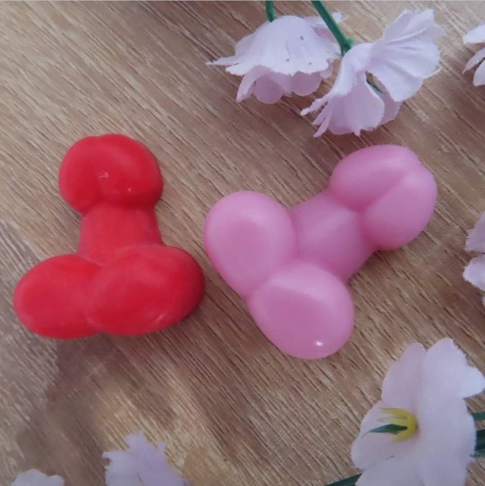 Novelty Willy Wax Melts Pack of 3 Etsy