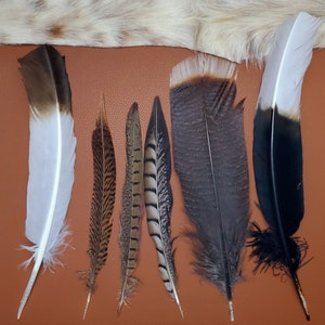 Piuma per cappello individuale, piuma d&#39;aquila imitazione per il tuo cappello da cowboy, fedora, western, paglia, panama o qualsiasi altro cappello, decorazioni per il tuo nastro per cappello