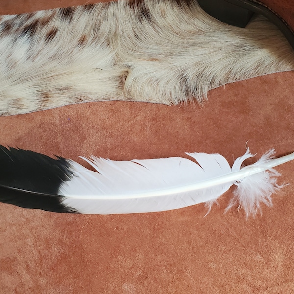 Hat Feather, Imitation Eagle Feather for your Cowboy, Fedora, Western, Straw, Panama or any Hat, Decorations for your Hatband