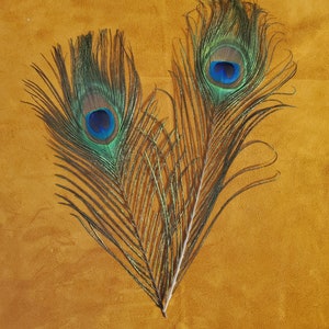 Peacock Feather, Hat Feather, Crafting Project, Tail Feather, Eye Feather, Natural Feather, for Wedding, Earrings, Sold Individually, 10-12&quot;