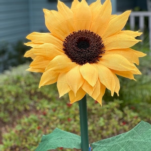 Girasole, Girasole di carta crespa, Girasole gigante, Girasole di carta, Fiore di carta crespa, Fiore di carta gigante, Fiore di carta crespa gigante