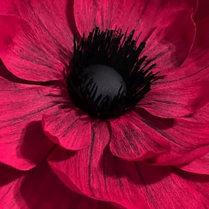 Giant Crepe Paper Flower Template, Event Decor, DIY Party Flowers (PDF) image 7